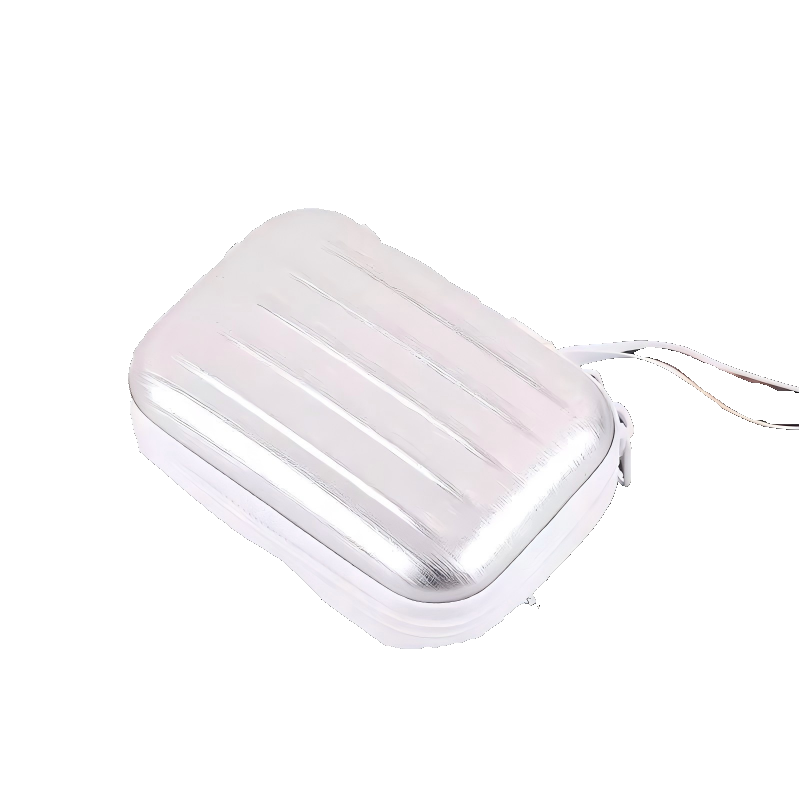 Airpods kuffert, sølv