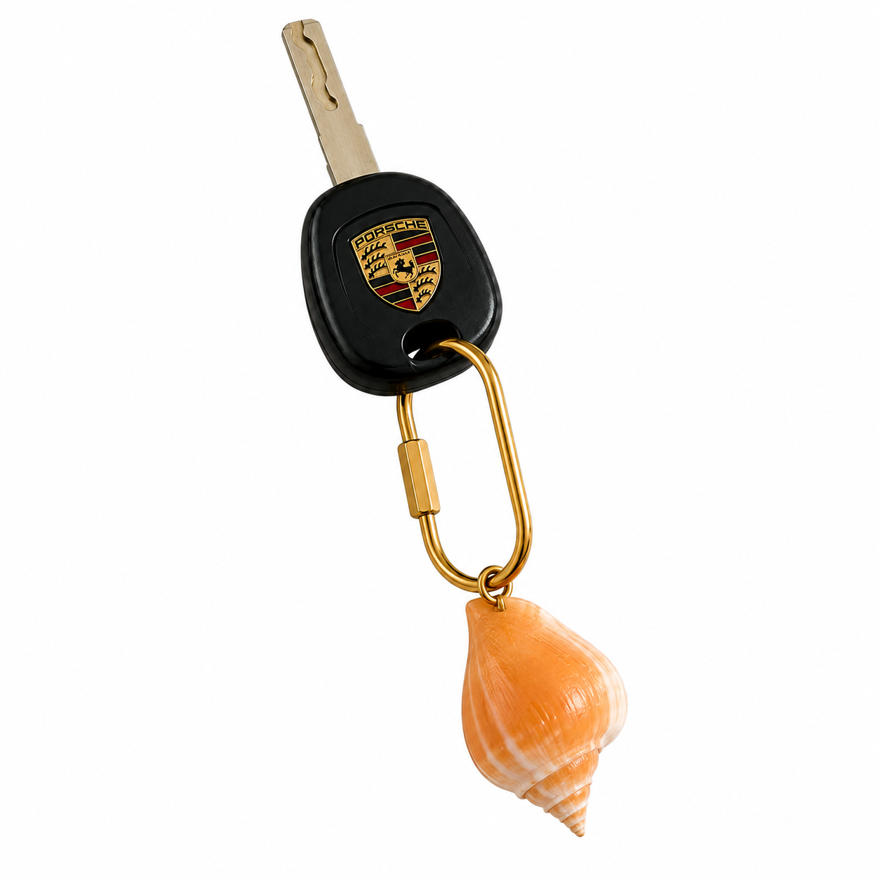 Conch shell, 1 pc